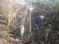 brambles-cut-and-tree-guards-removed